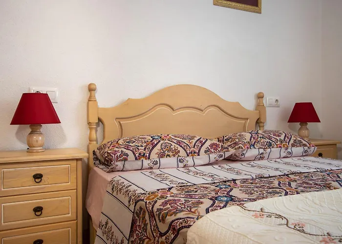 Apartment Alegria Id201 Torrevieja